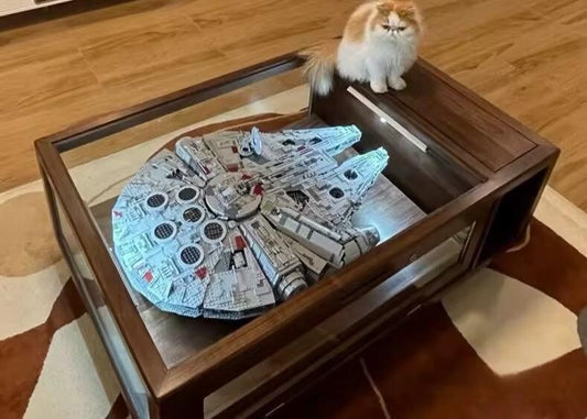 Do LEGO Sell Display Cases?