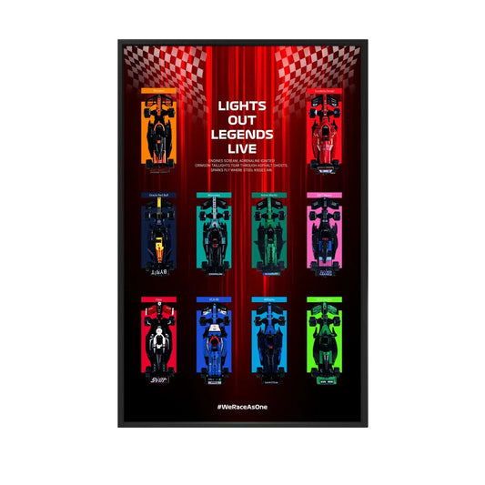 LEGO® models shown in photos are NOT included