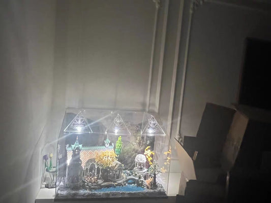 How Long Do Display Cases Last? (2025 Guide)