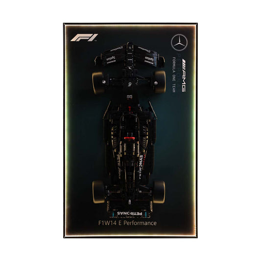 LEGO® models shown in photos are NOT included.